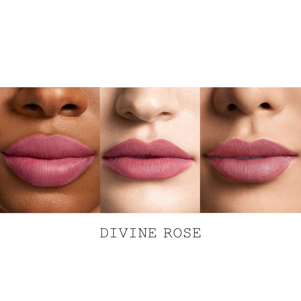 dramatique-mega-lip-pencil-artistry-trio-30-30-PMG_PDP_LIP_Dramatique_Macro_LABLED_DivineRose_1_190d59e0-46aa- Dramatique Mega Lip Pencil Artistry Trio