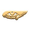 FetishEYES™ Pin